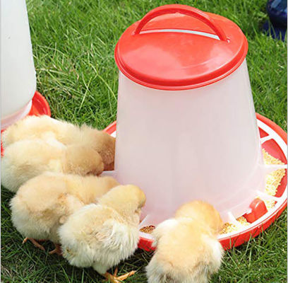 4kg No Waste Quail Poultry Feeder Drinker