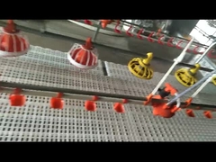 drinking and feeding lines for broilers chicken house poultry equipment